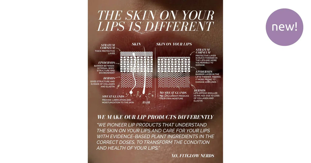 Fitglow Lip Colour Serum infographic explaining lip skin differences and care benefits.